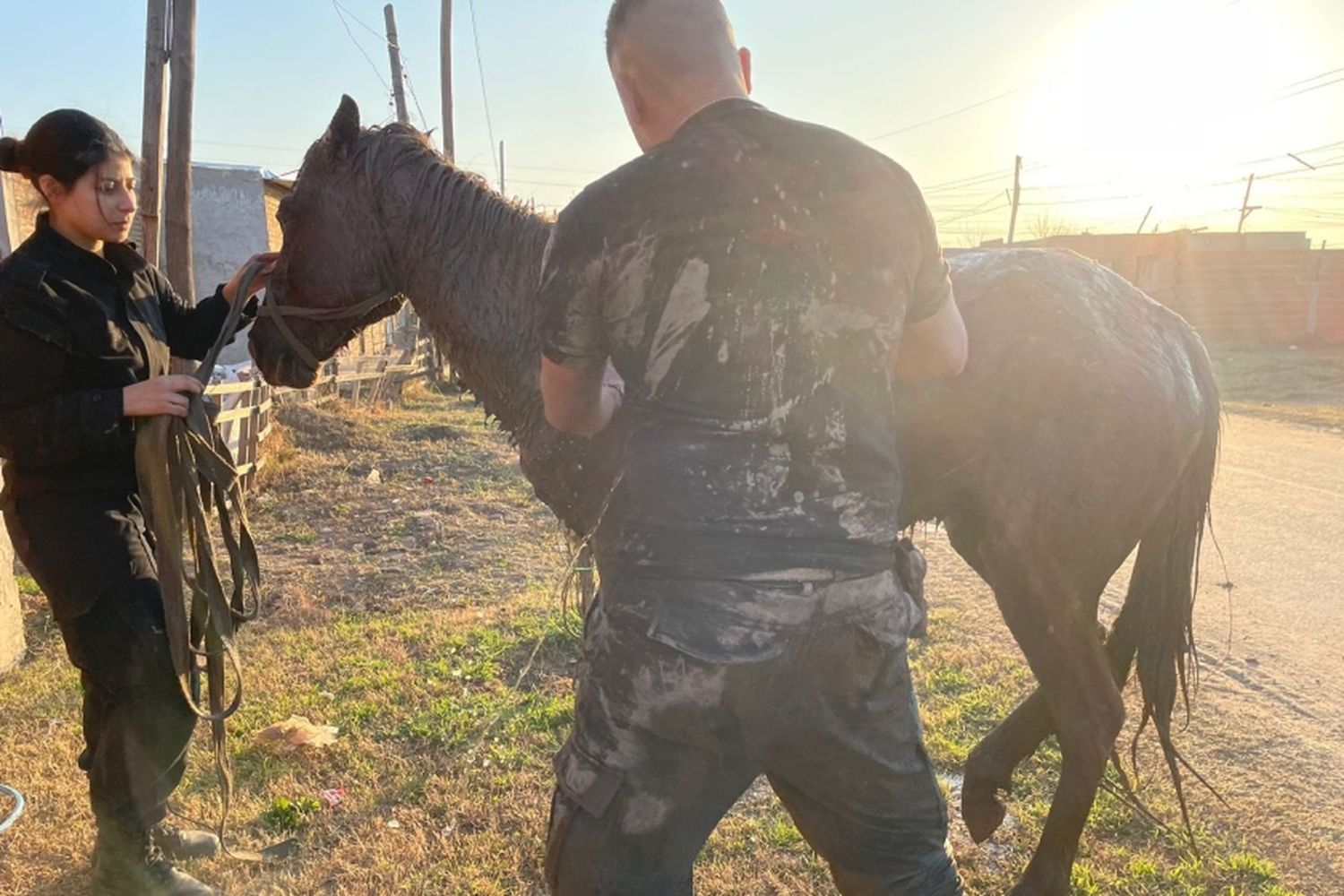 Rescataron a un caballo que cayó a un pozo en zona norte