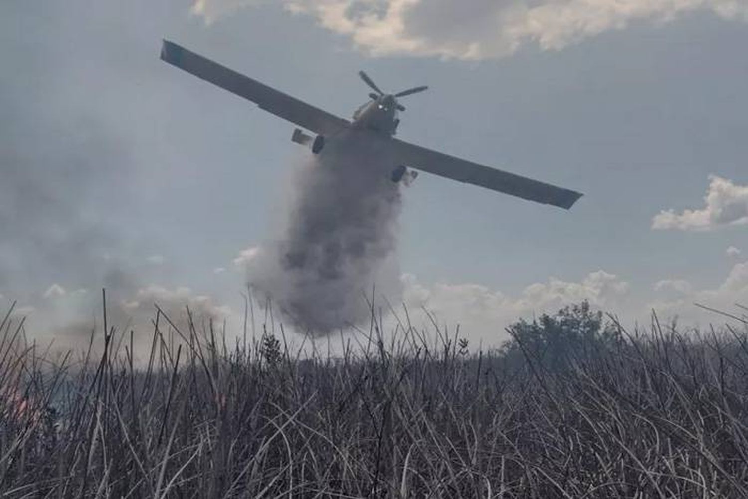 Combate intenso de incendios en islas del Delta