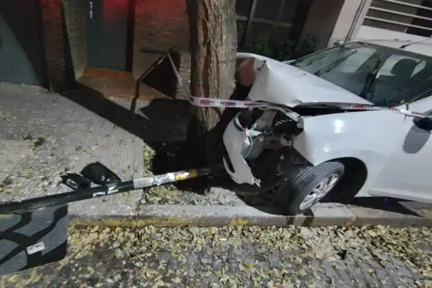 Un automovilista se llevó puesto un árbol, tumbó señalización y dio positivo de alcoholemia