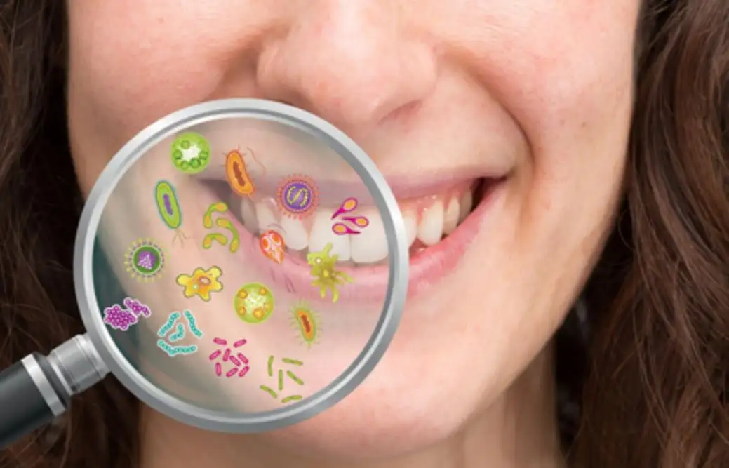 Más de 700 microorganismos conviven en la boca.