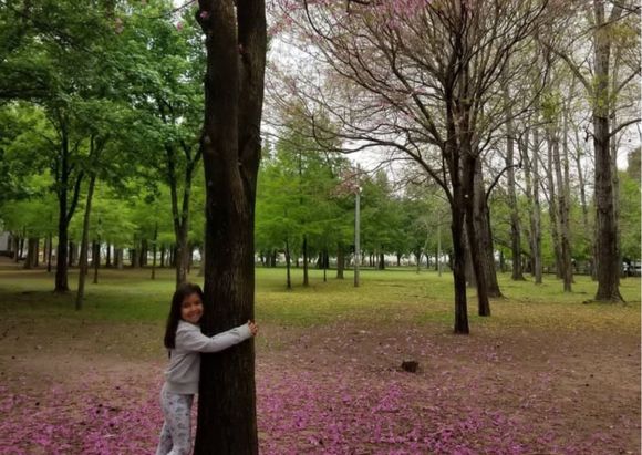 Árboles del recuerdo: ¿con quién te tomarías unos mates debajo de un árbol?