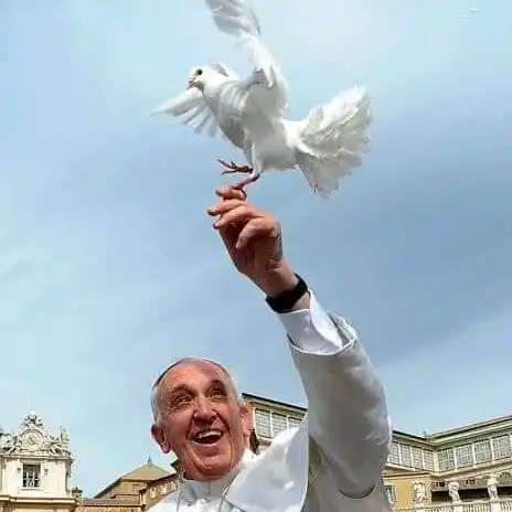 El papa de la esperanza - Pbro. Jorge H. Leiva