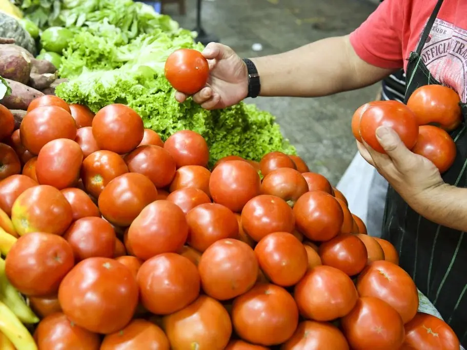 Las verduras aumentaron 33,4 % en mayo respecto a abril, según un informe