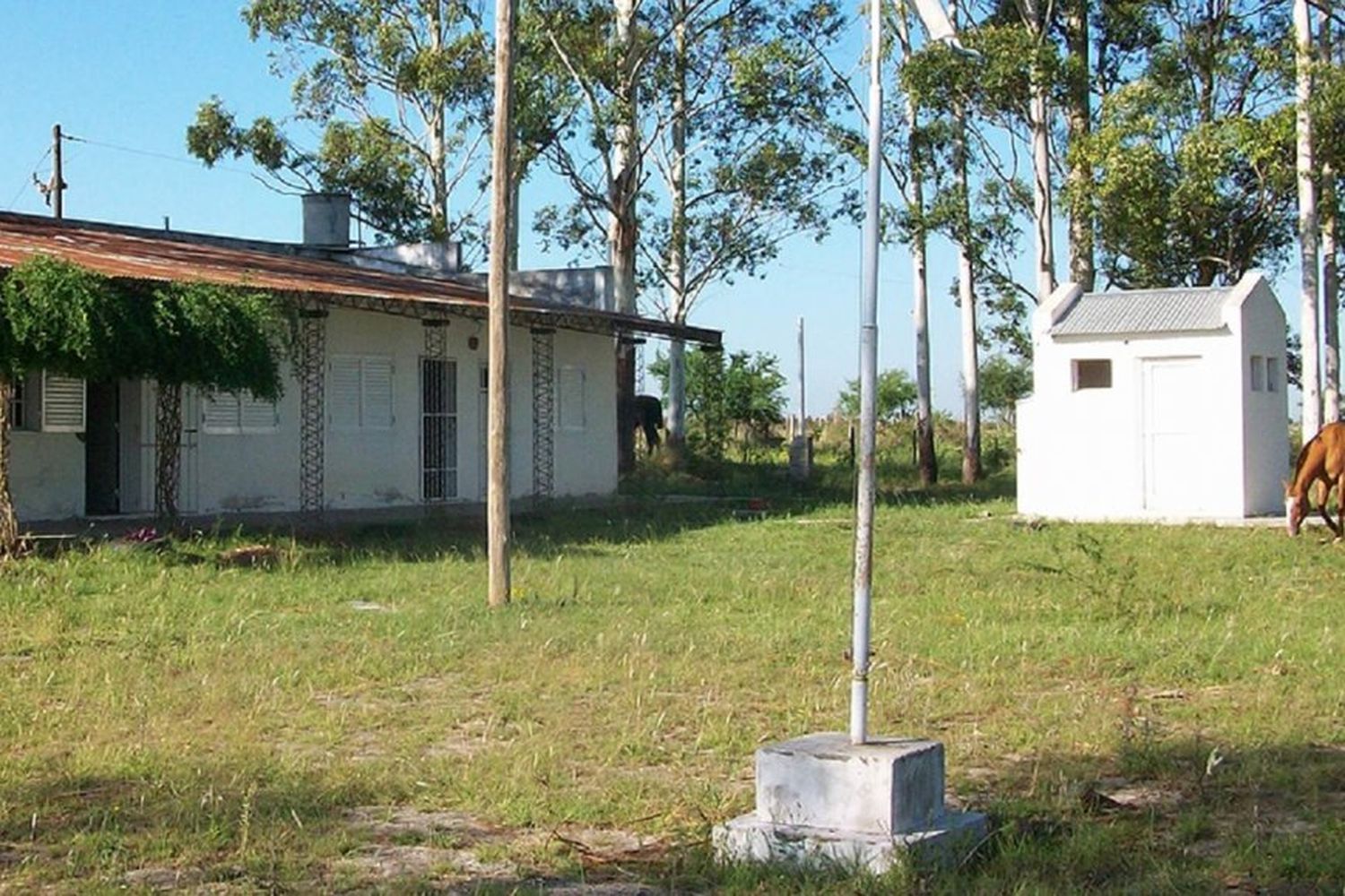 Éxodo de familias del campo: hay 73 escuelas rurales cerradas en la provincia