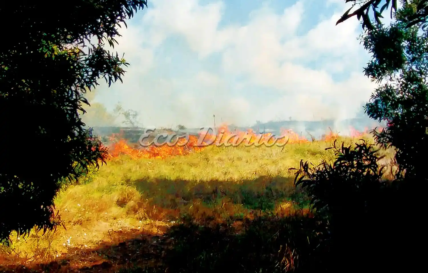 Intenso. Fue por momentos el incendio. Intervinieron tres dotaciones de bomberos