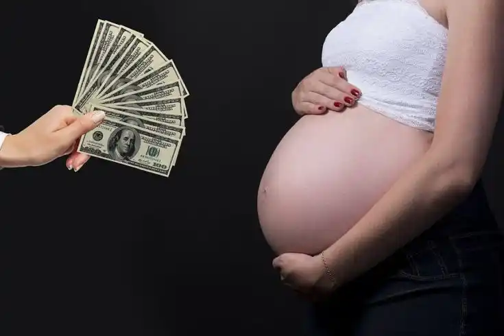Dinero sobre la mesa, cuerpo en juego: la subrogación convierte la maternidad en mercancía y refuerza la desigualdad global.