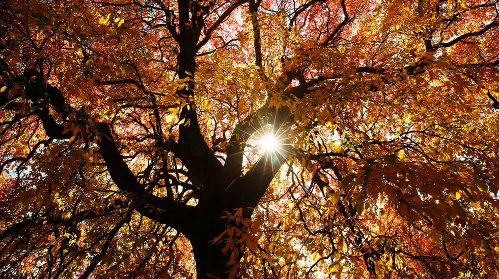 ¿Por qué cambia el clima en otoño?