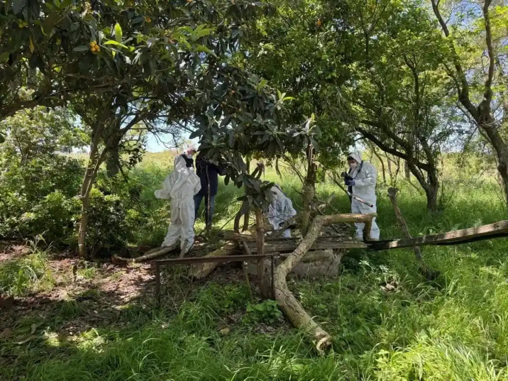 Femicidio en Gobernador Mansilla: confirmaron que Daiana Mendieta fue asesinada de un disparo