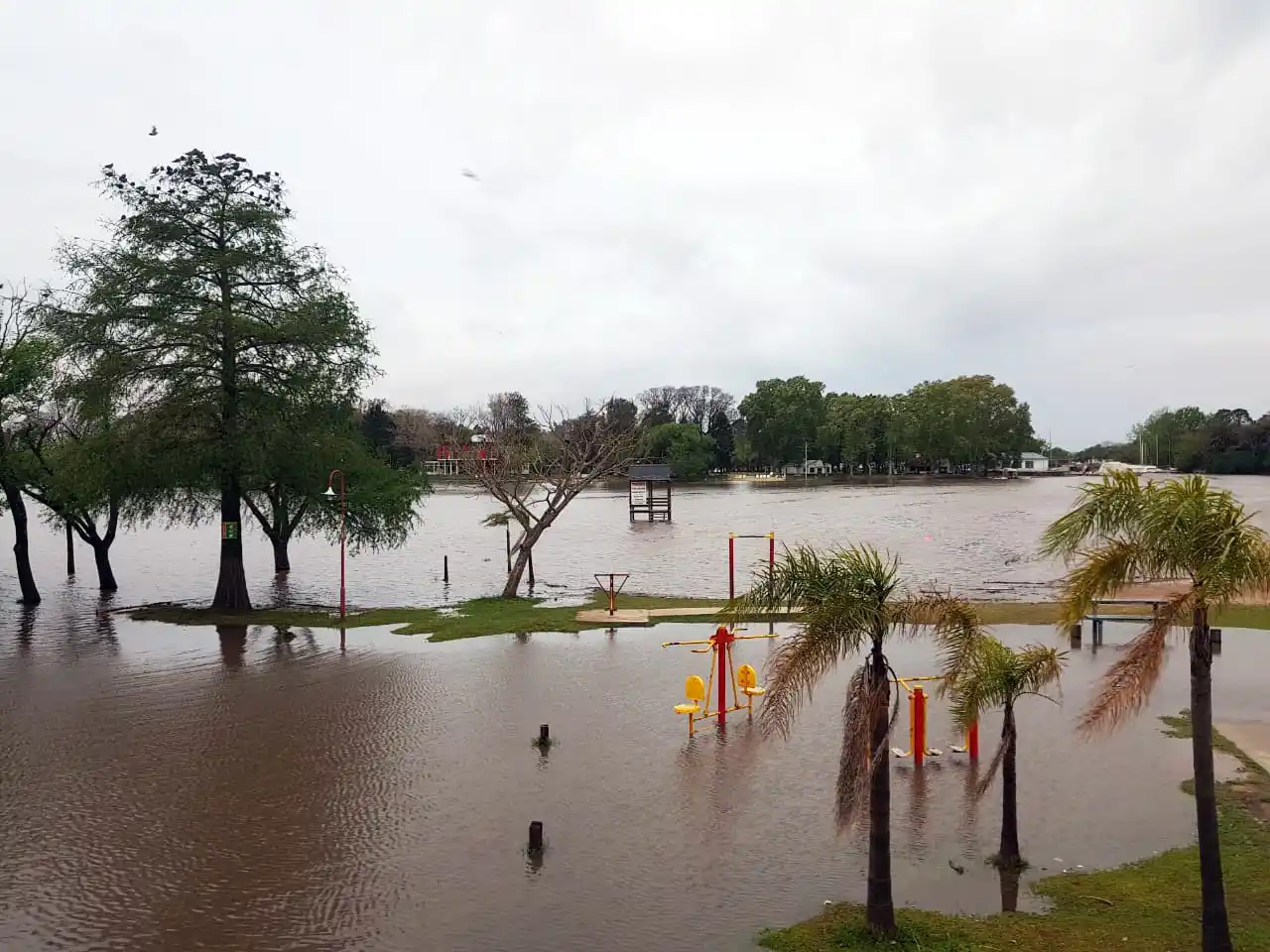 En menos de 24 horas, el río Gualeguaychú creció más de 2 metros 