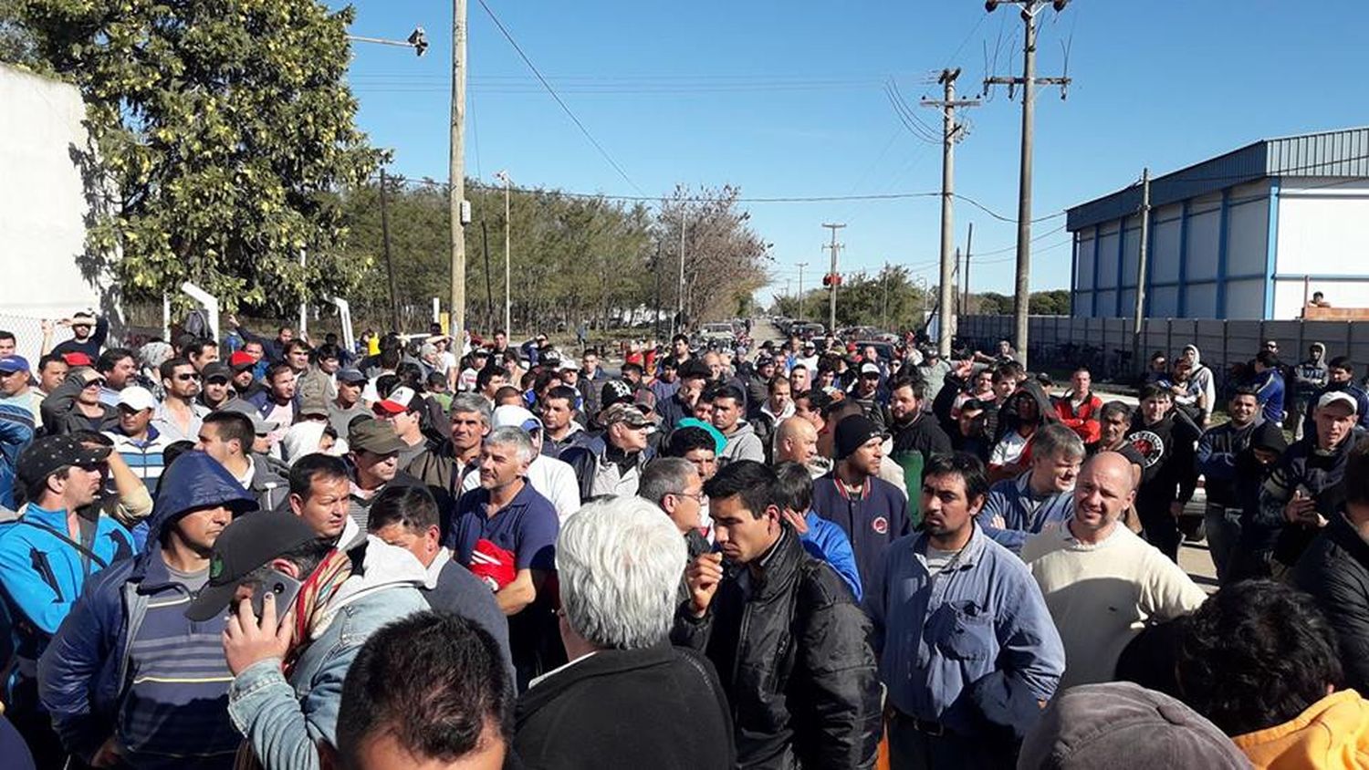 Crisis en Criave de Roque Pérez: A la espera de una solución en la avícola luego de la quiebra