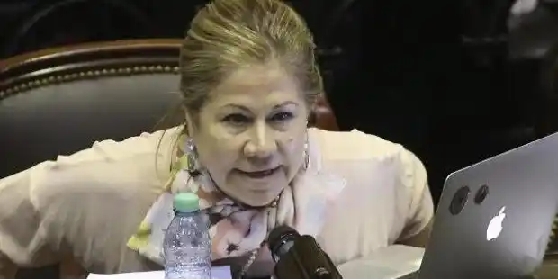 Camaño no descartó ser gobernadora por Consenso Federal 2030