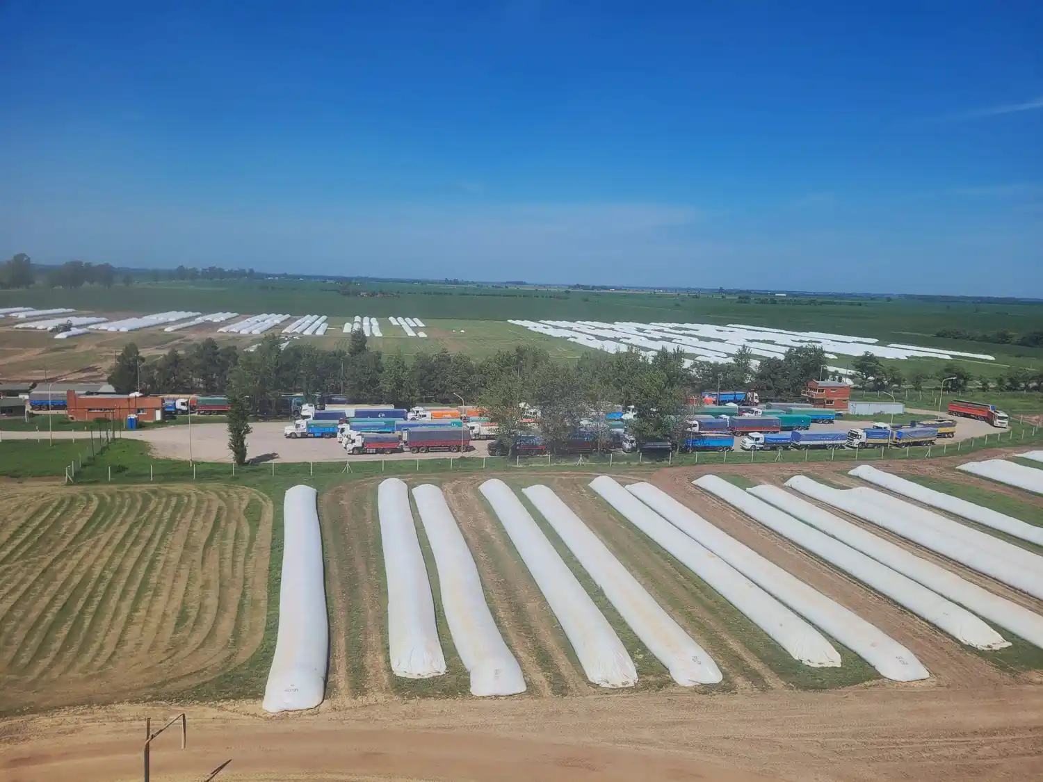 La poscosecha es la nueva frontera de la eficiencia agrícola
