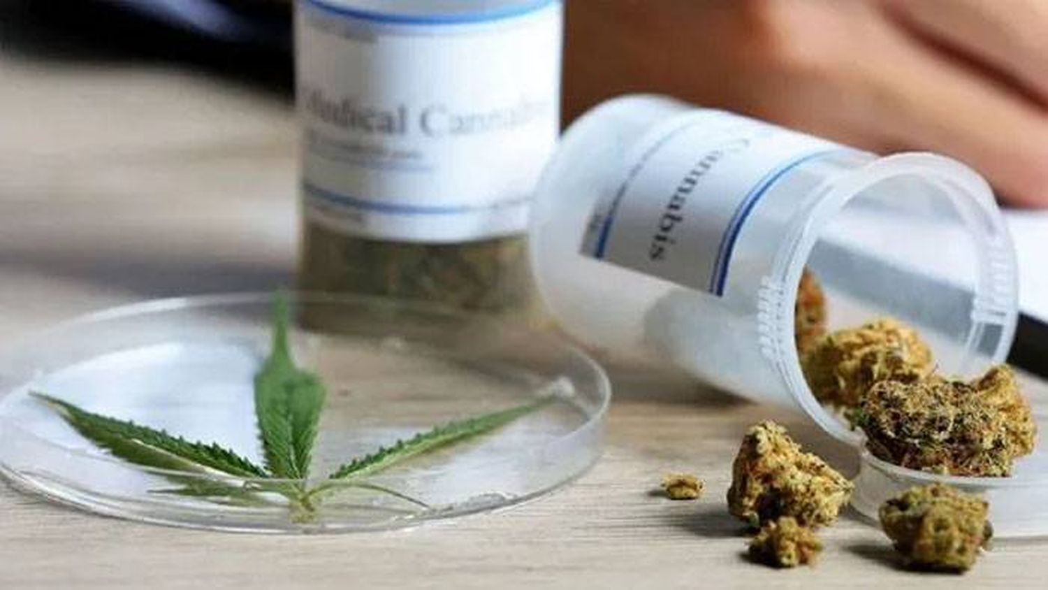 Aprobaron en Entre Ríos la  Ley de Cannabis Medicinal