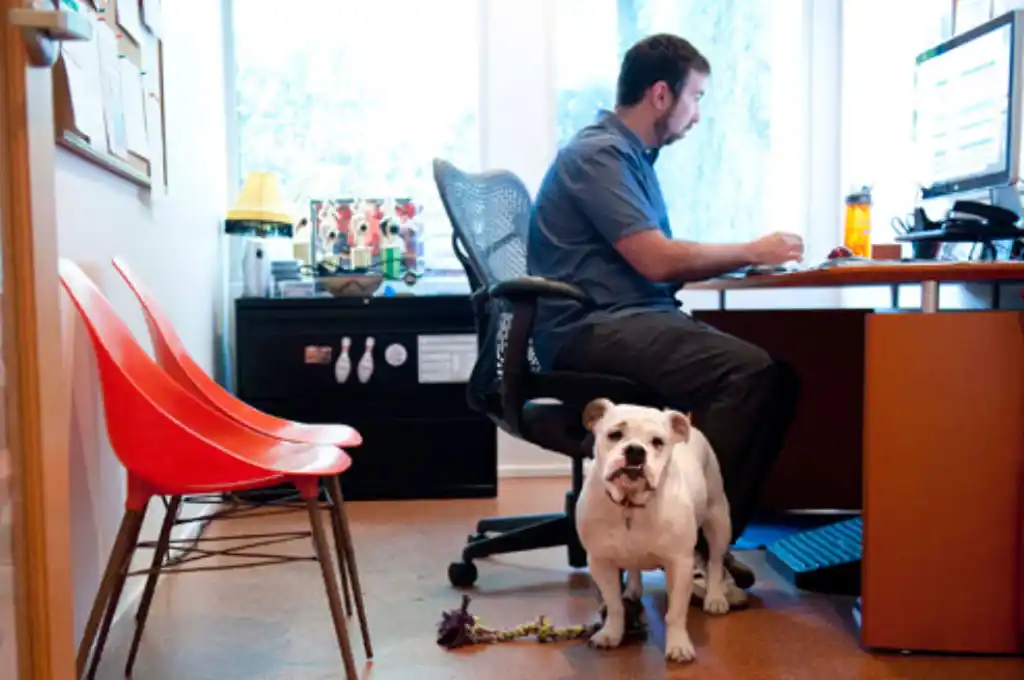 22 de junio: Día Mundial de llevar al Perro al Trabajo