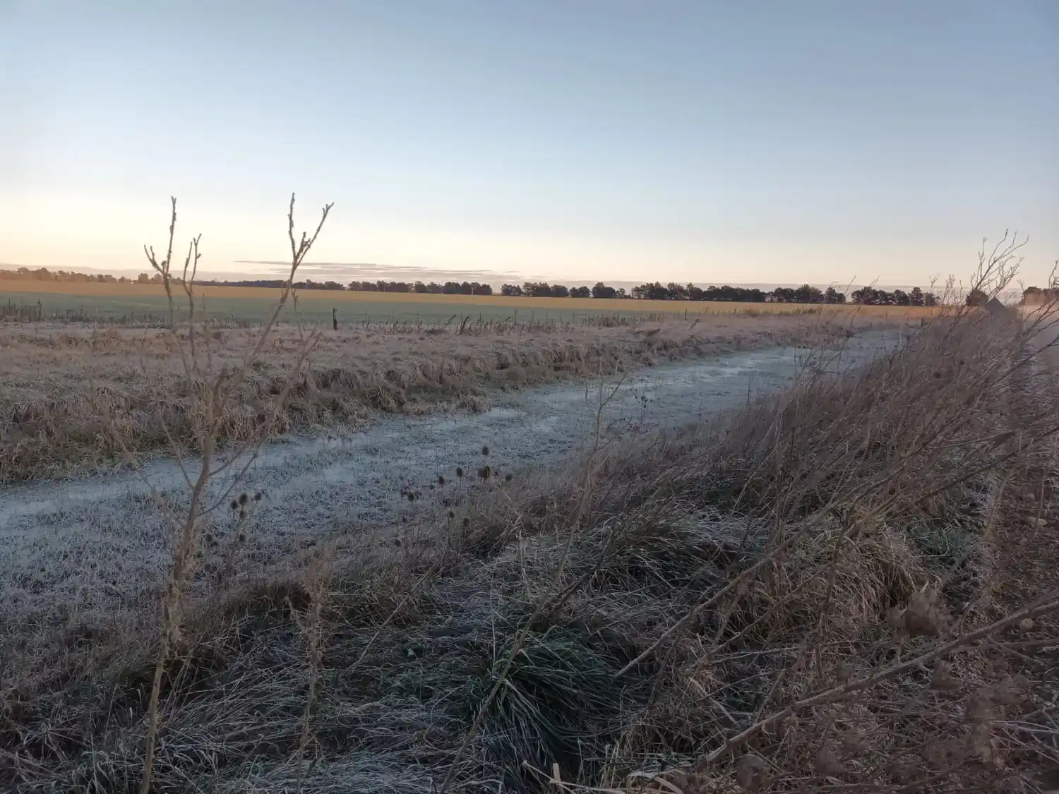 Tandil registró su temperatura más baja en lo que va del año.