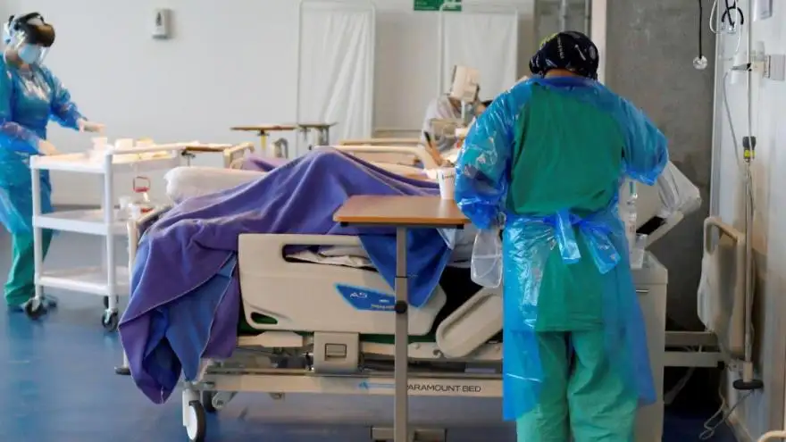 Otras 241 personas murieron, la cifra más alta en una jornada