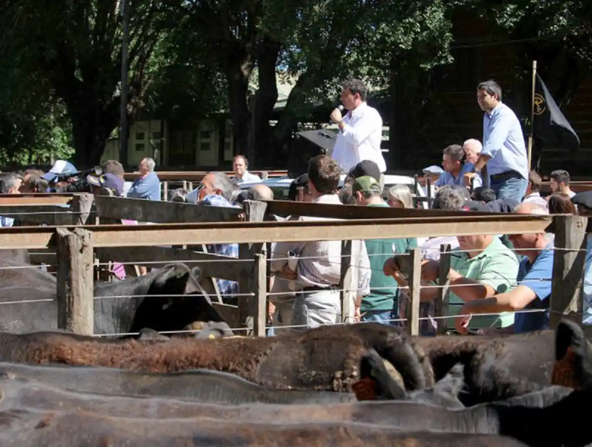 Rústicos cerró el año con un gran remate en Tandil