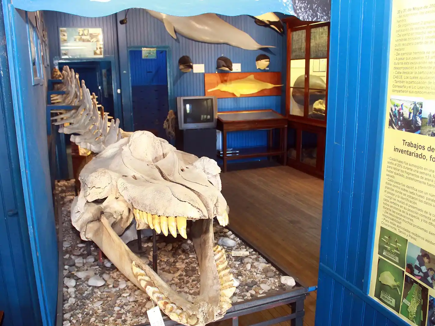 Mucho para ver. En la Hidrobiológica