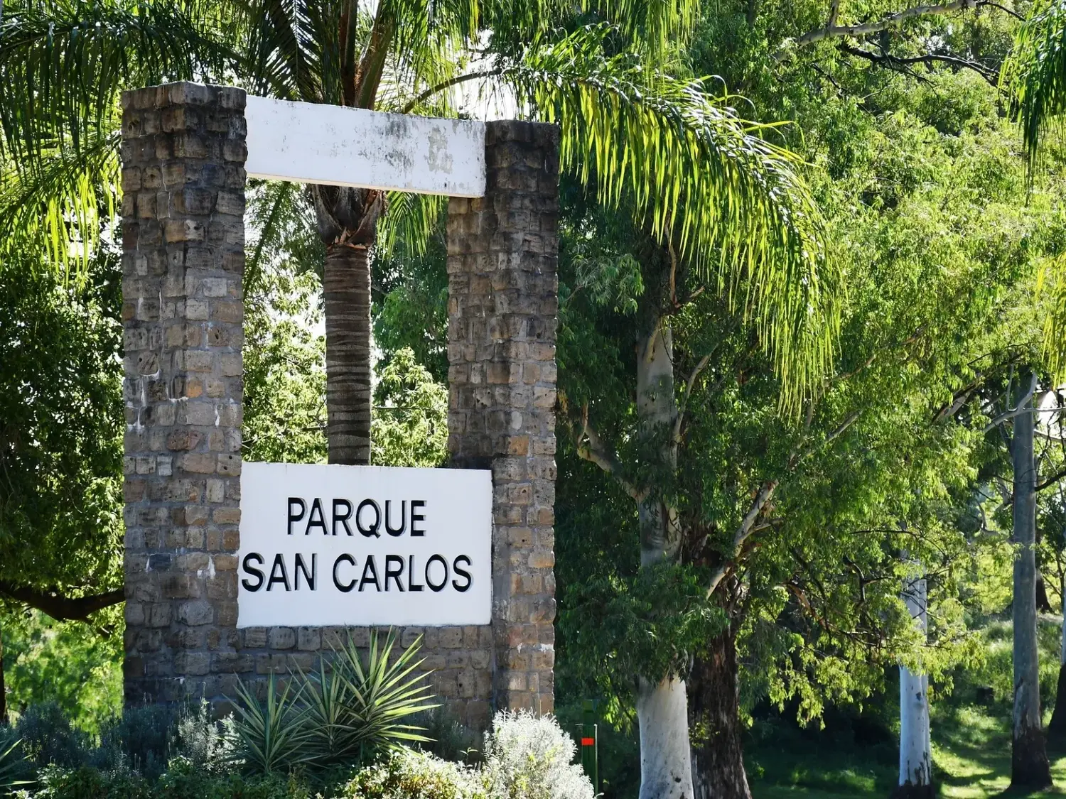 Trabajos de mantenimiento y recuperación ambiental en el Parque San Carlos
