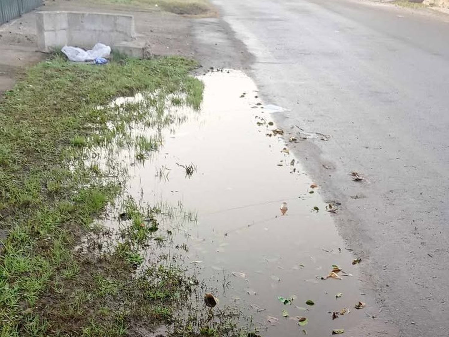 Reclamo por cloacas tapadas en calle Laprida