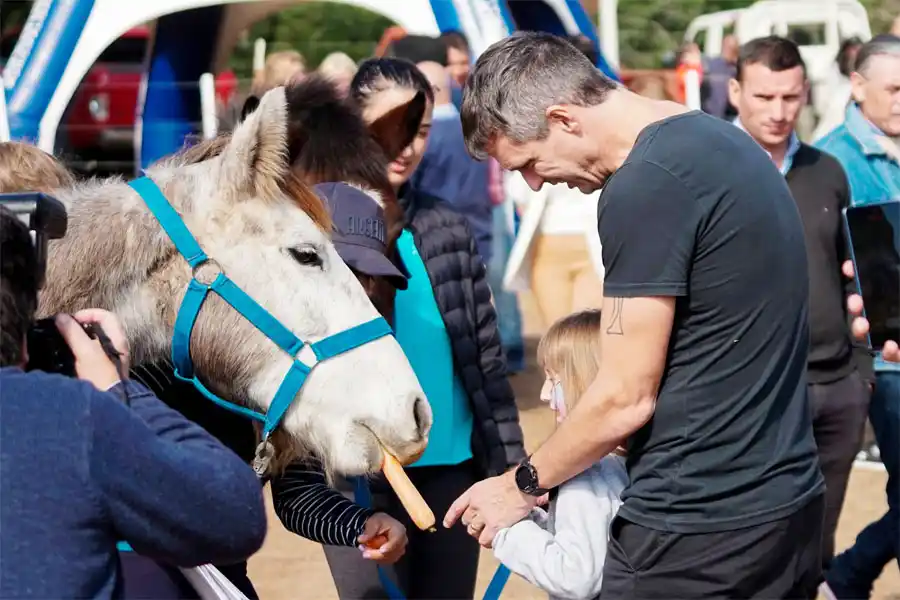 Se entregaron más equinos,  recuperados del maltrato 