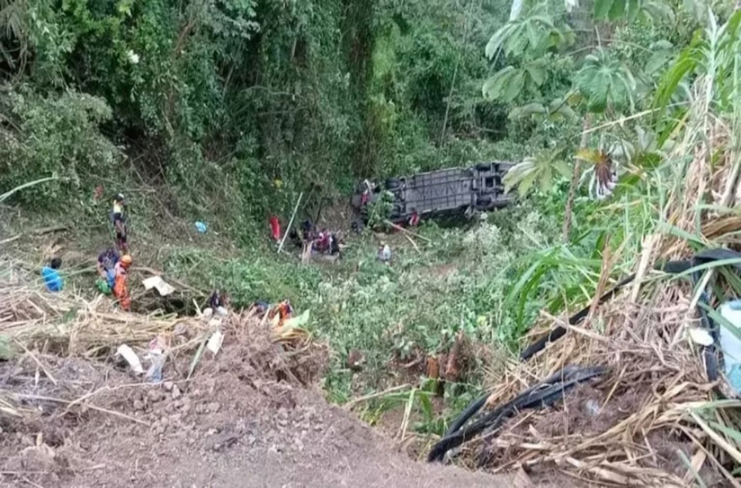 Colombia: 9 personas murieron y otras 25 resultaron heridas tras la caída de un colectivo a un precipicio