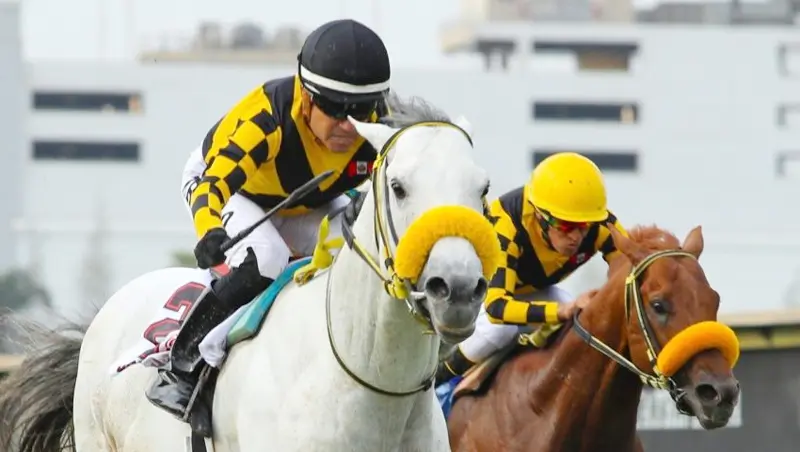 Viernes 24: Actividad Hipódromo de San Isidro