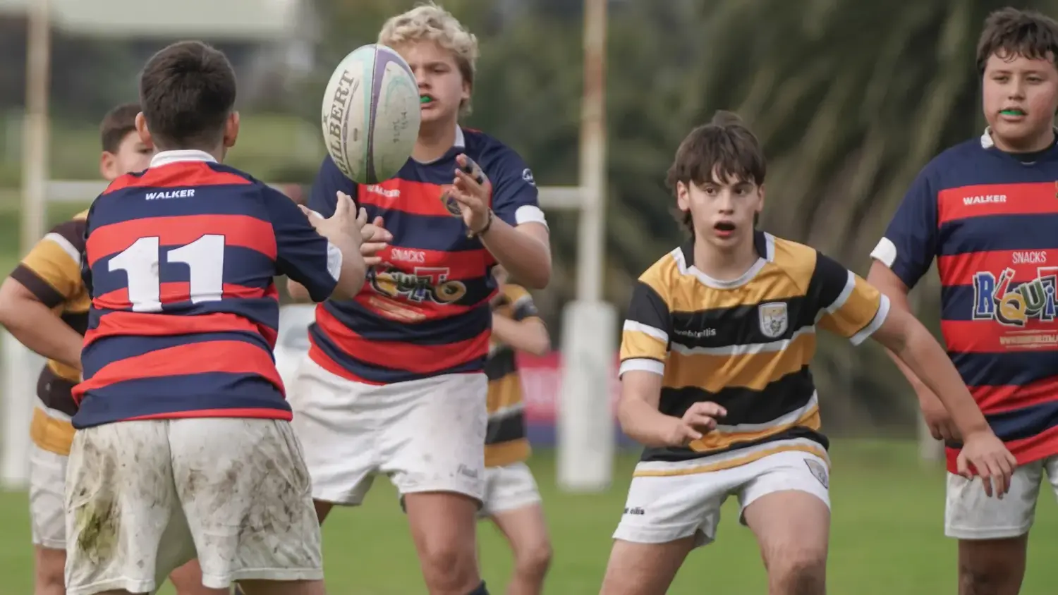 El rugby del Club Náutico se encuentra en un gran presente