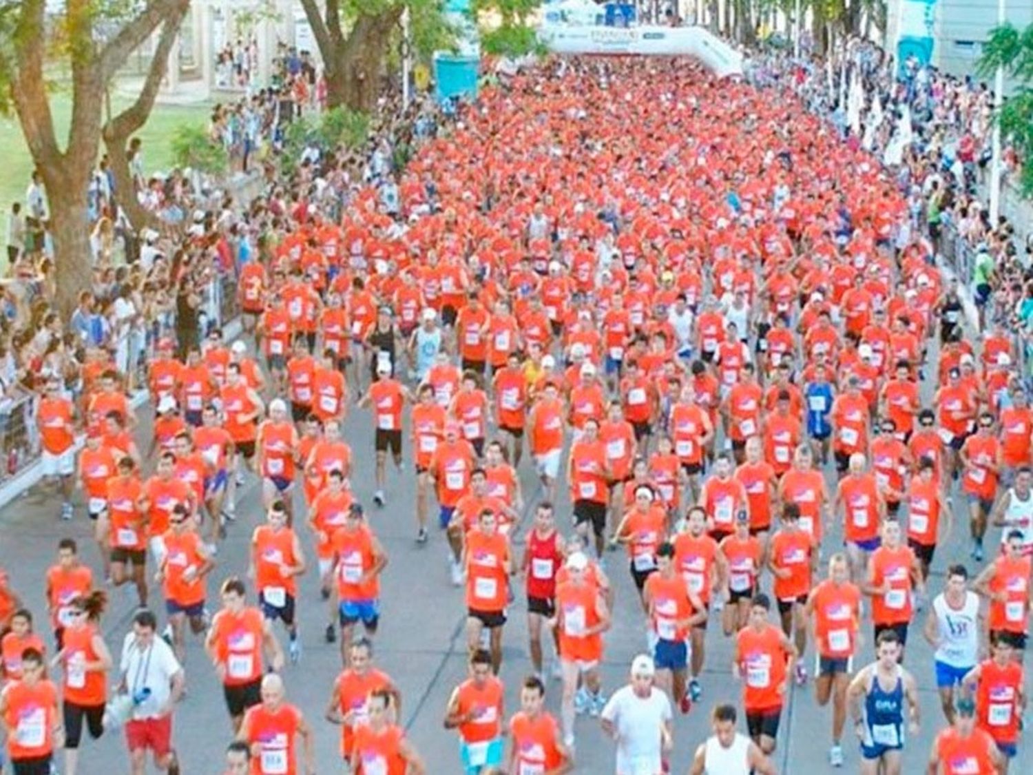 Etapas de inscripciones presenciales para la Maratón de Reyes