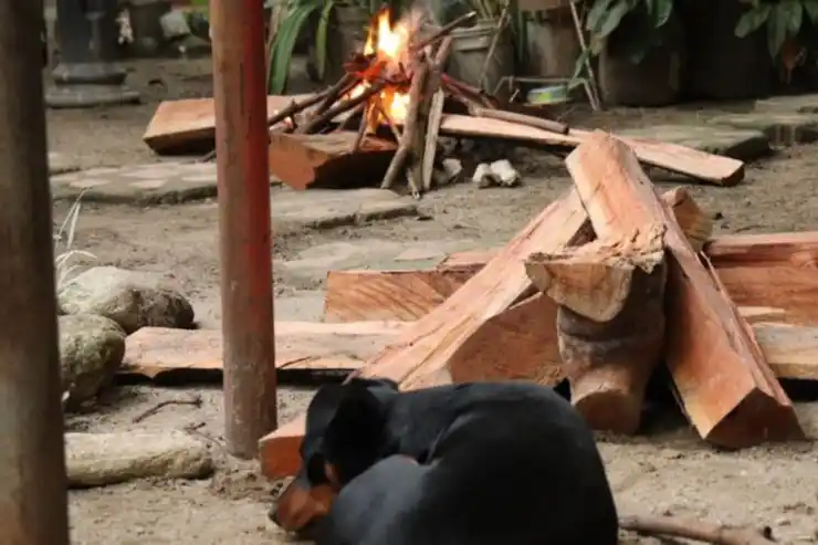 En Venezuela cocinan a leña por falta de gas