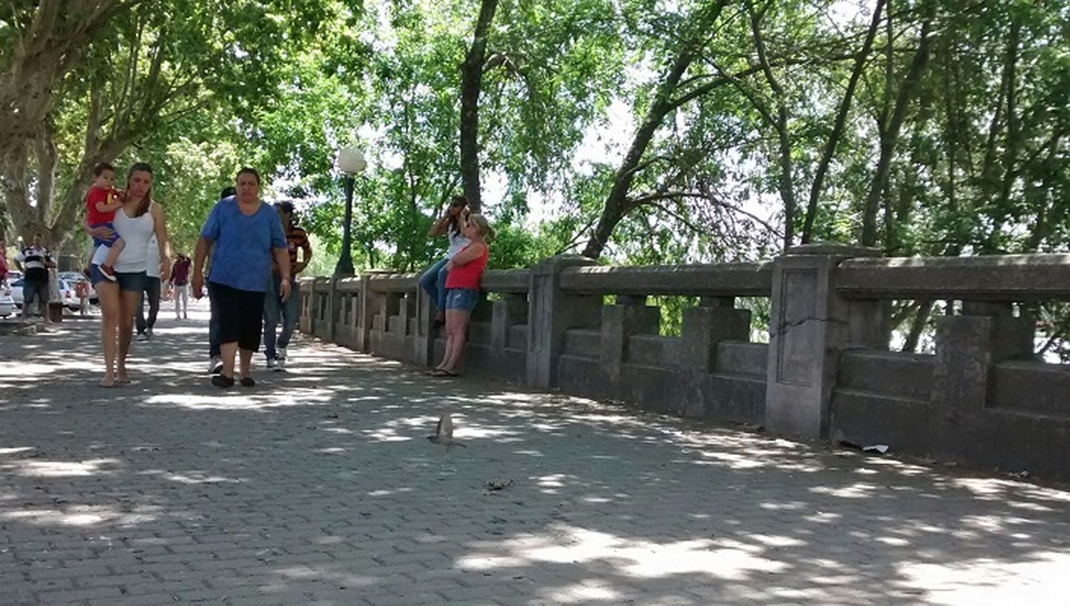 Alerta amarilla en Gualeguaychú: cómo sigue el tiempo