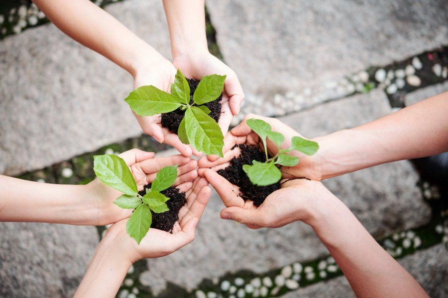 El municipio organiza actividades por el Día del Ambiente