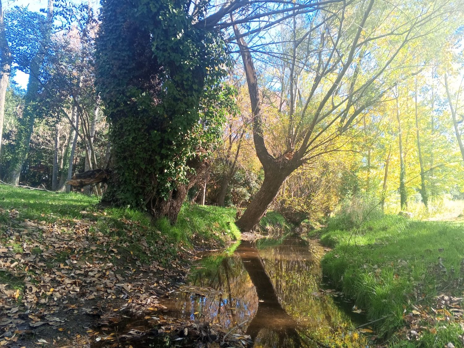 Paisajes ocultos de Tandil (II): la vertiente silenciosa