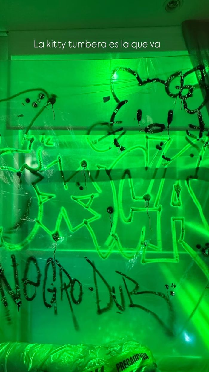 "La Kitty tumbera es la que va", Nara sumó a Hello Kitty en su nuevo video