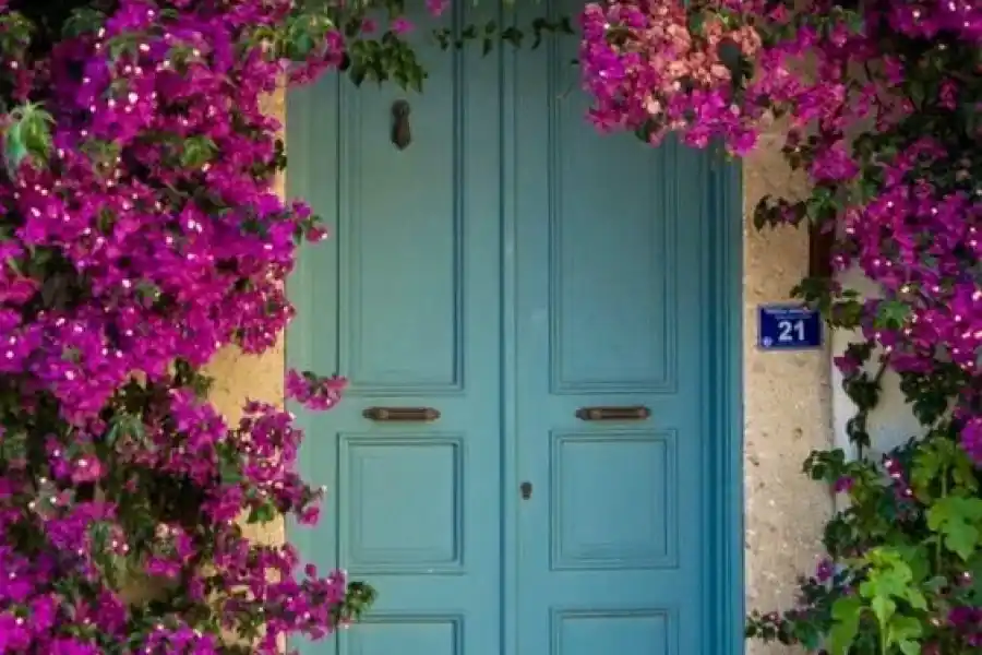 Una creencia popular destaca que podría tener propiedades místicas relacionadas con la energía. </p><p>Pinterest