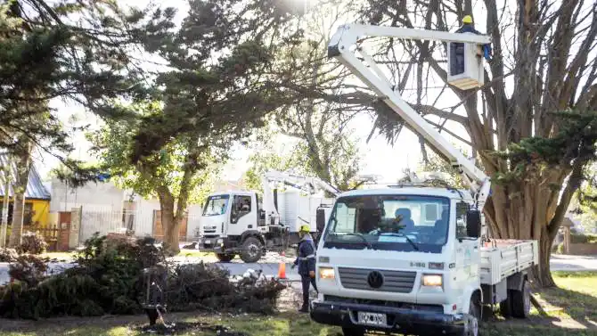 Mar del Plata. Tareas en espacios públicos del barrio Camet