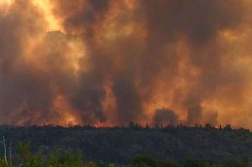 Por el avance del fuego, el intendente de El Bolsón pide refuerzos