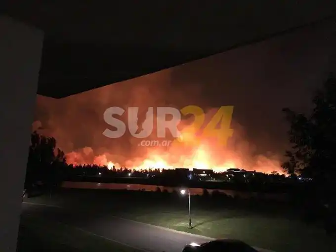 Voraz incendio en un parque nacional de Campana