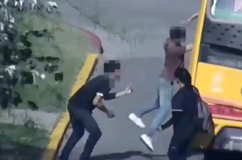 El menor fue elevado por un cómplice y manoteó el celular.