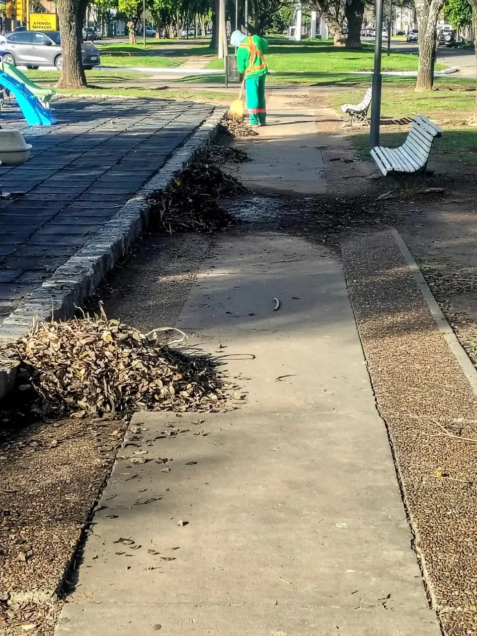 El Municipio recibió 82 reclamos tras el temporal y continúa con tareas de limpieza - 1