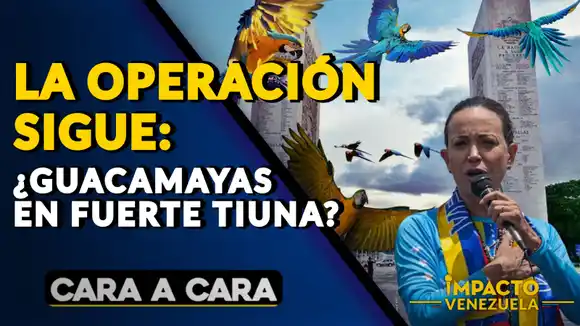 LA OPERACIÓN SIGUE ¿Guacamayas en Fuerte Tiuna? – Cara a Cara