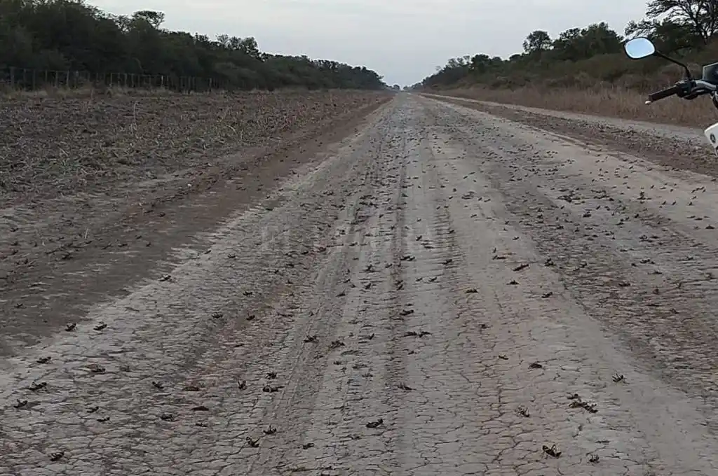La manga llegó a Santa Fe