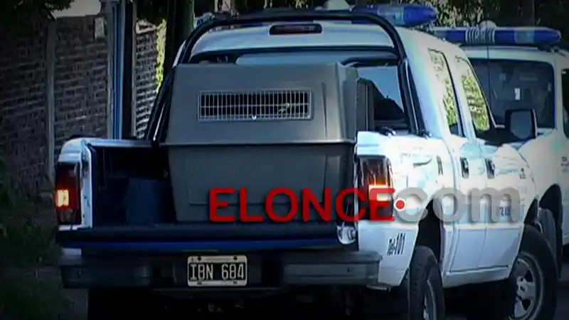 Piden 3 años de prisión para dueño de rottweilers que mataron a una mujer