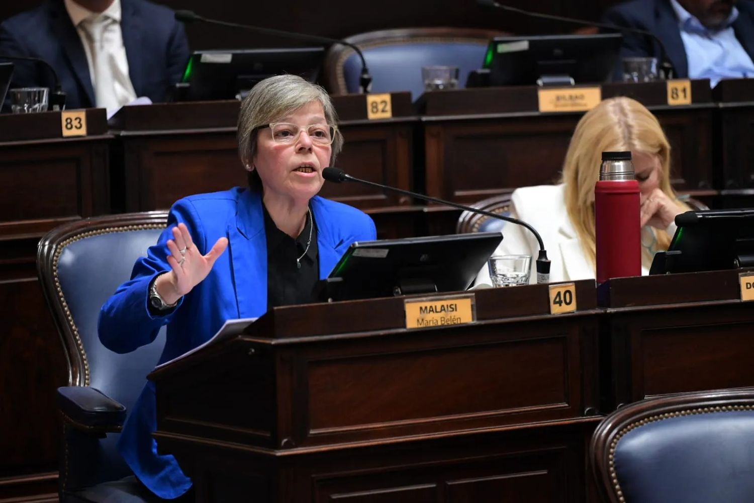 Belén Mailisi, diputada radical oriunda de San Andrés de Giles y docente.