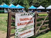 Con más de 30 emprendedores, realizarán el segundo festival Tandilia Saludable