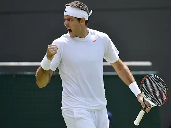 Wimbledon: Del Potro le ganó a Zemlja y avanzó a octavos de final