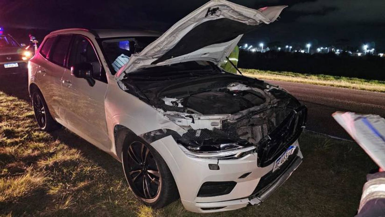 Otro accidente entre un auto y un caballo suelto en Villa Gesell