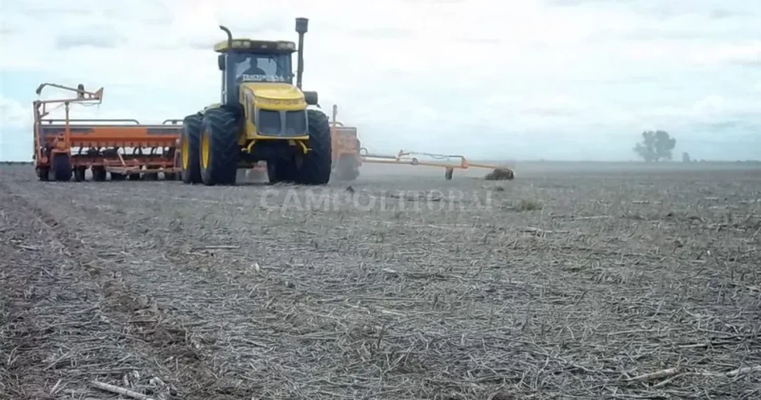 Agrónomos advierten que no llovió la suficiente para sembrar soja