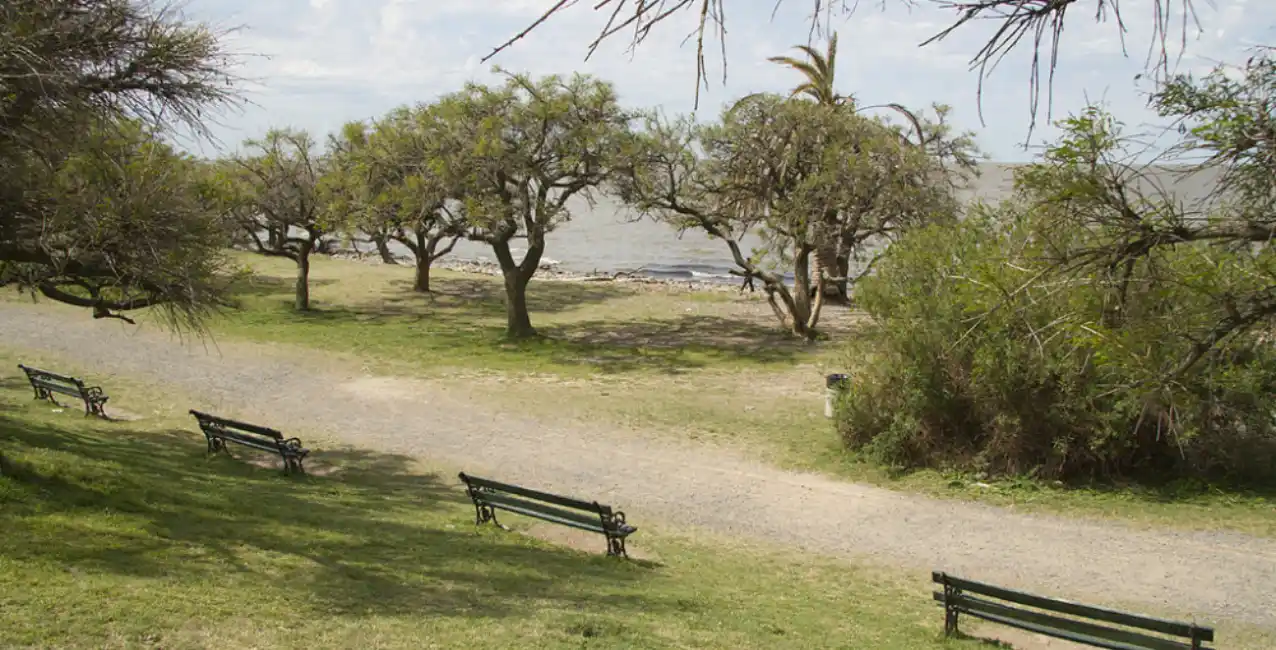Horror en Buenos Aires: violaron a una mujer en una reserva ecológica
