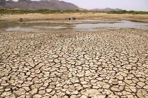 ONU alerta que en 2024 se puede batir récord de calor: PLANETA AL BORDE DEL ABISMO